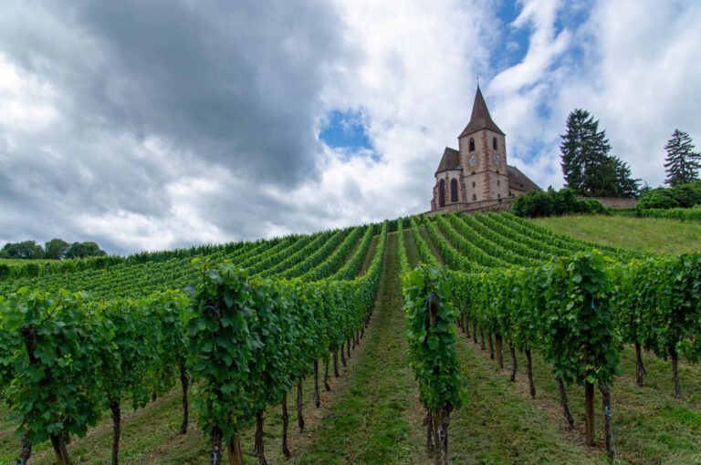 Church in winefields