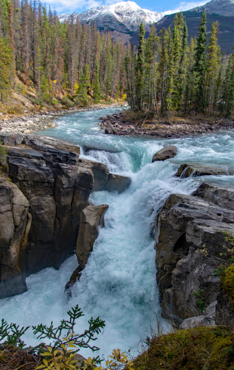 Sunwapta falls