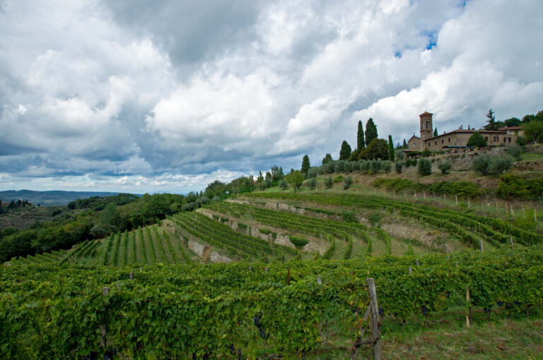 Tuscan winefields