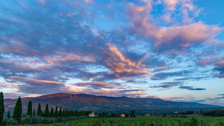 Tuscan winefields sunset